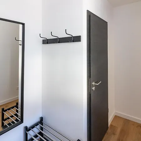 Magnifique Appartement Duplex Climatise De 40M² Nancy Buitenkant foto