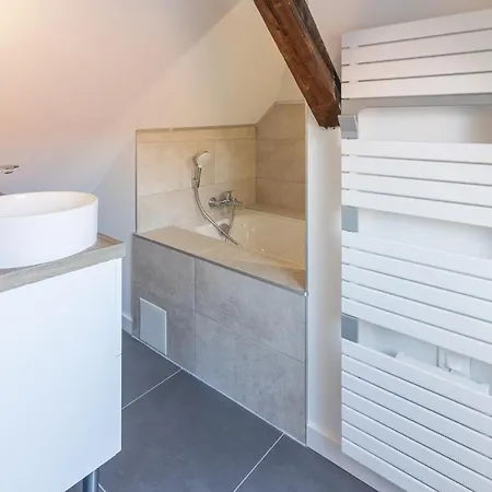 Magnifique Appartement Duplex Climatise De 40M² Nancy Buitenkant foto