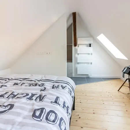 Magnifique Appartement Duplex Climatise De 40M² Nancy Buitenkant foto