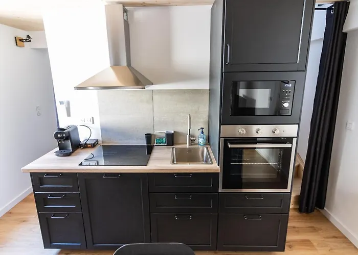 Magnifique Appartement Duplex Climatise De 40M²