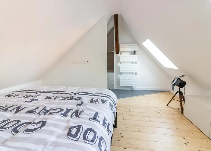 Magnifique Appartement Duplex Climatise De 40M²